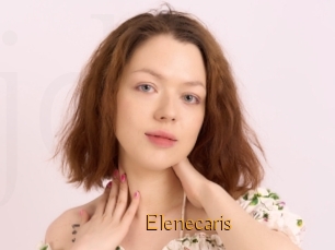 Elenecaris