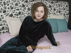Elinmagnetic