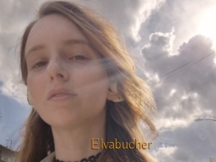 Elvabucher