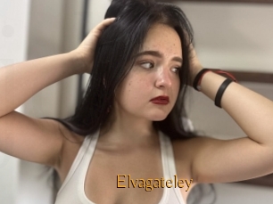 Elvagateley