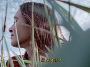 Elvagrise