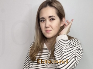 Elvinacouncil