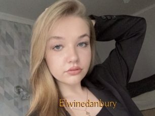 Elwinedanbury