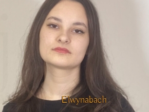 Elwynabach