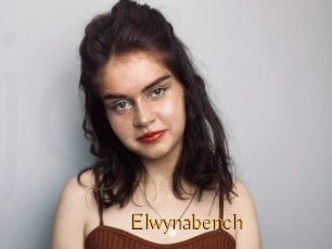 Elwynabench
