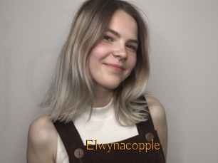 Elwynacopple