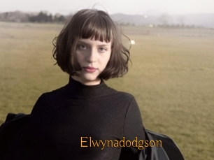 Elwynadodgson
