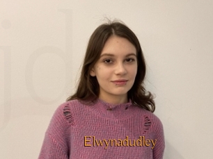 Elwynadudley