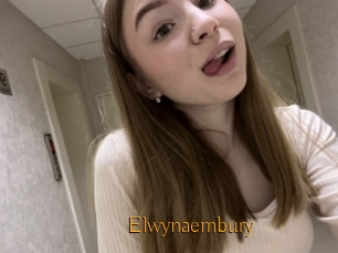 Elwynaembury