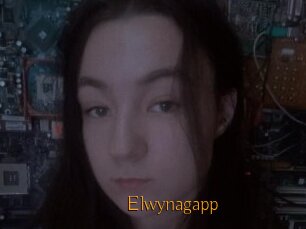 Elwynagapp