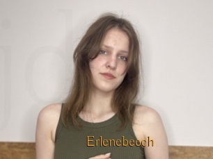 Erlenebeech