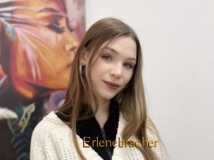 Erlenebracher