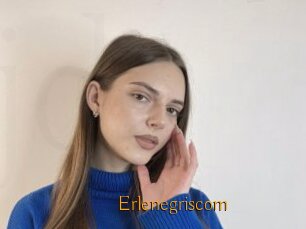 Erlenegriscom