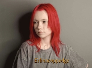 Erlinacoppedge