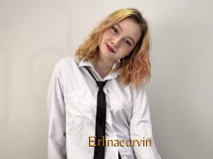 Erlinacurvin