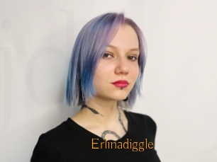 Erlinadiggle