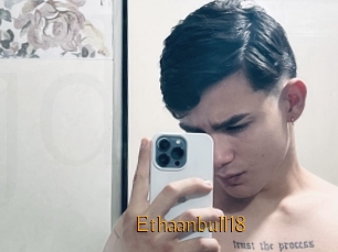 Ethaanbull18