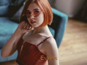 Evaafox