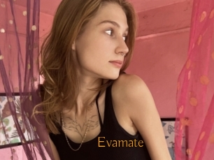 Evamate