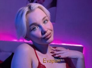 Evapurr