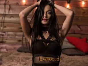 Evarocadi