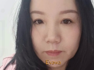 Evawa