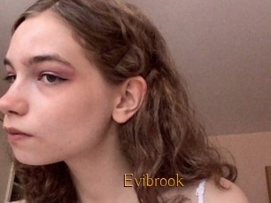 Evibrook