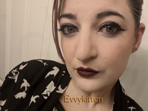 Evvykitten