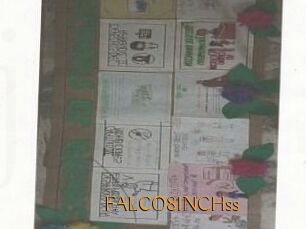 FALCO8INCHss