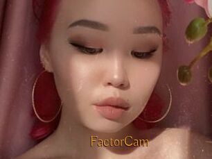 FactorCam