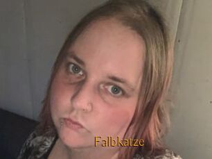 Falbkatze