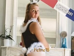 Feline18