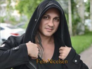 FelixNicelsen