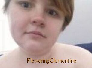 FloweringClementine