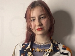 Felicebevis
