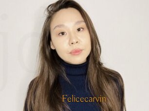 Felicecarvin