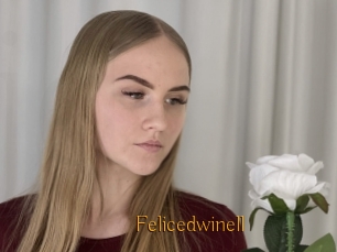 Felicedwinell