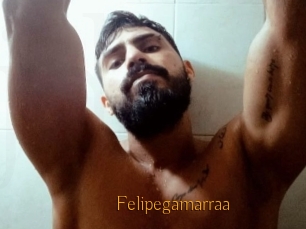 Felipegamarraa
