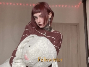 Felixwinter