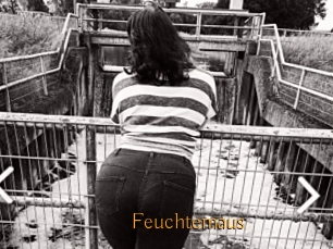 Feuchtemaus
