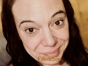 Filledebois