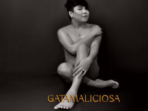 GATAMALICIOSA