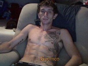 Gnomeo