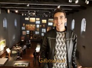Gabosexual