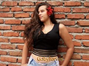 Gabyharvey