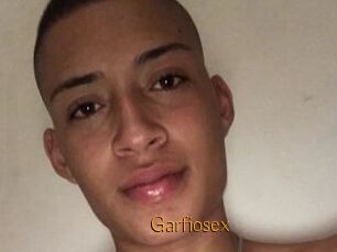 Garfiosex