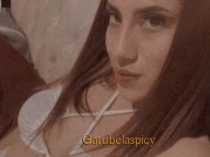 Gatubelaspicy