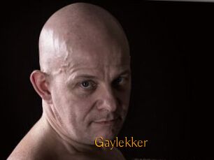 Gaylekker