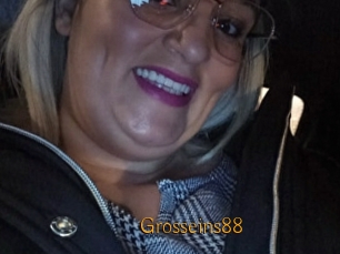 Grosseins88