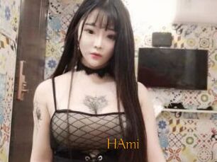 HAmi